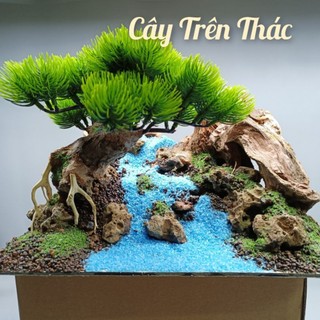  Mẫu Layout "Cây Trên Thác" dành cho bể cá cảnh bể thủy sinh 