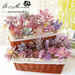 Cây sen đá nhân tạo hoa sen đá giả decor trang trí bàn làm việc chậu cây giả mini Nabi NB6