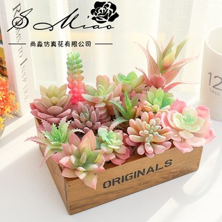 Cây sen đá giả to hoa sen đá giả nhựa nhân tạo decor trang trí bàn làm việc chậu cây giả mini Nabi NB8