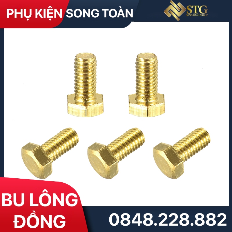 Bu Lông Đồng Thau M5, Đầu Vít Ốc Ren M5 Dài 14mm (Túi 10 Cái) Đồng Thau