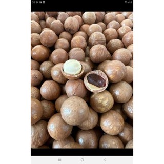 Hạt macca 100k/ 500gr