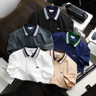 ÁO THUN POLO CÁ SẤU NAM XỊN