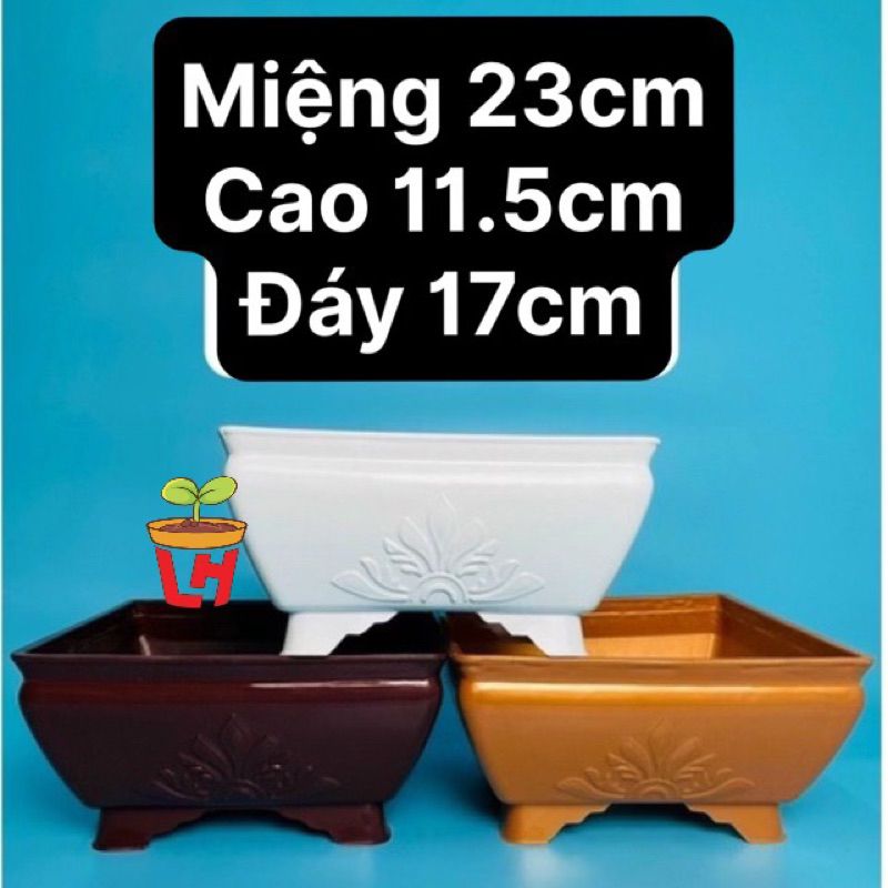  Chậu nhựa trồng cây bonsai  Vuông Bầu  cắm hoa mai đào giả 