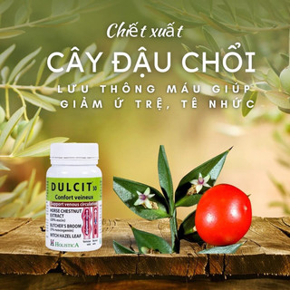 Holistica Dulcit - Phòng Ngừa Và Cải Thiện Tình Trạng Suy Giãn Tĩnh Mạch Chân
