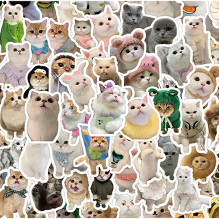 Quà tặng kèm sticker động vật, hoạt hình