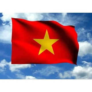 Lá cờ tổ quốc cỡ 80cm x 1.2m