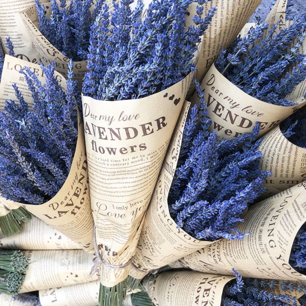 BÓ 50 CÀNH HOA OẢI HƯƠNG KHÔ, HOA LAVENDER,HOA CỎ ĐUÔI THỎ KHÔ BÓ LÀM QUÀ TẶNG, TRANG TRÍ DECOR