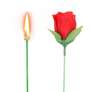 Hoa Hồng ảo thuật - Hàng có sẵn- Trò chơi tạo bất ngờ cho người thân bạn bè trong những dịp quan trọng