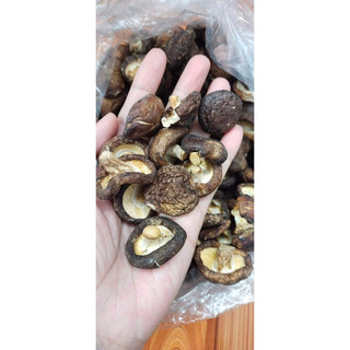 MỌC NHĨ - NẤM HƯƠNG 100Gr
