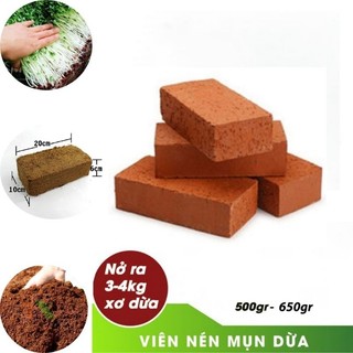 Viên nén Hữu Cơ xơ dừa combo 10 viên tặng 2 túi phân
