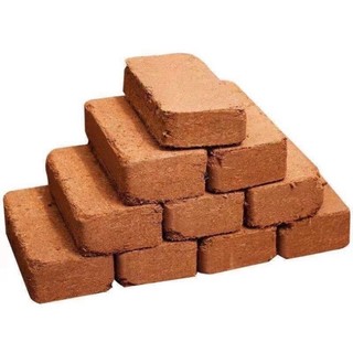 viên nén xơ dừa( 10v tặng kèm 2 túi phân bón)