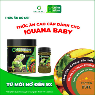 IGUANA BABY - Thức ăn BÒ SÁT cho Rồng Nam Mỹ Baby từ mới nở đến 9x