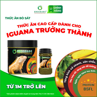 IGUANA TRƯỞNG THÀNH - Thức ăn BÒ SÁT cho Rồng Nam Mỹ trưởng thành từ 1m trở lên