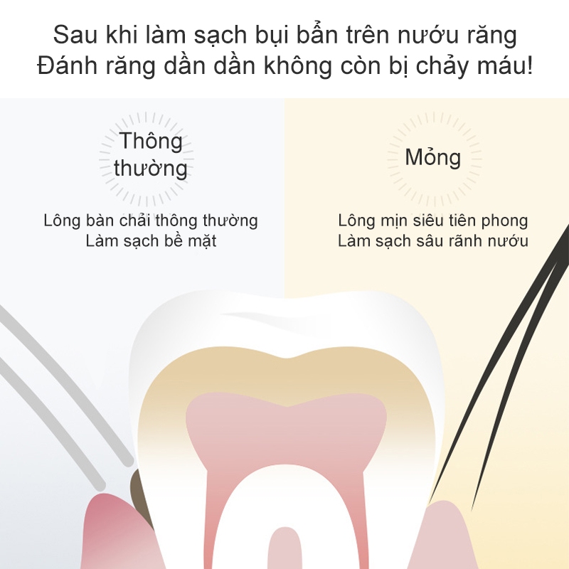 Bàn chải đánh răng lông mềm than tre Bàn chải đánh răng lông mềm đơn than tre