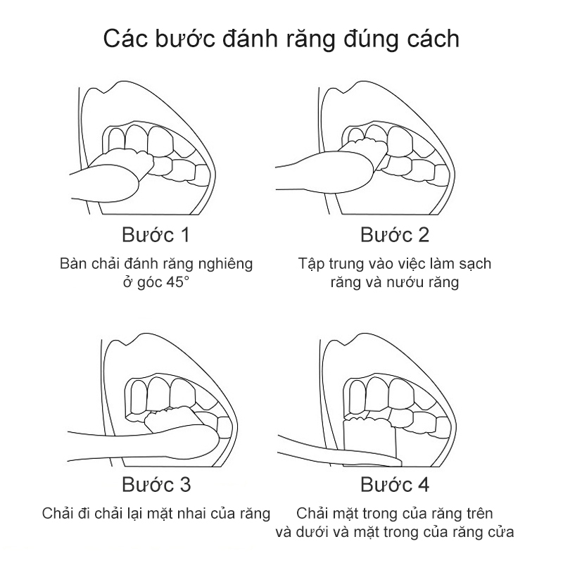 Bàn chải đánh răng lông mềm than tre Bàn chải đánh răng lông mềm đơn than tre