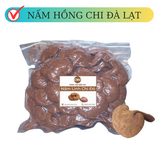 (Combo) Nấm linh chi đỏ Đà Lạt cao cấp CNV 500g x 2 (Hồng chi đà lạt)