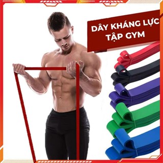 Dây Kháng Lực Tập Gym Power Band Đàn Hồi Cao Su Tập Tay Chân Mông Vai Đùi Nam Nữ - Chính Hãng Dododios