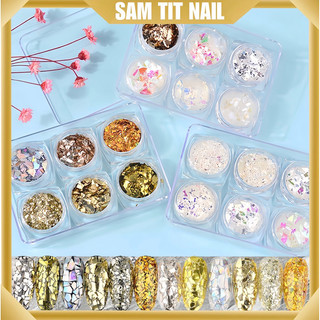 Kim tuyến khổng tước ẩn bột, ẩn sơn gel, sét 6 hủ trang trí móng