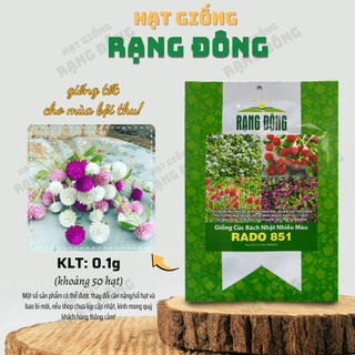 Hạt giống Hoa Cúc Bách Nhật Nhiều Màu Rd 851 hoa nở liên tục, trồng quanh năm - Hạt giống Rạng Đông