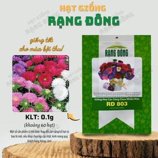 Hạt giống Hoa Cúc Công Chúa Nhiều Màu Rd 803 (0,1g~70 hạt) nhiều màu, hoa trồng chậu hoặc cắt cành - Hạt giống Rạng Đông