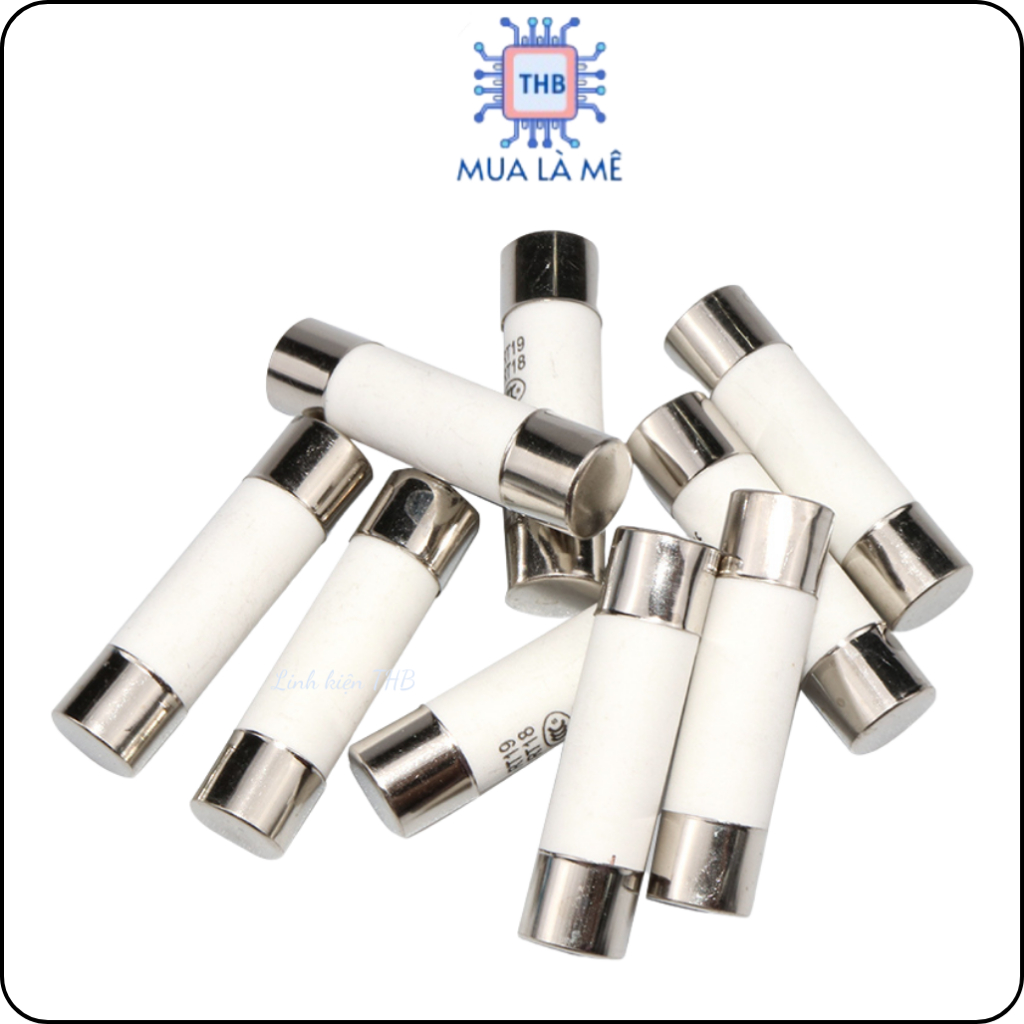 Cầu chì sứ 10A 250V 6x30mm.