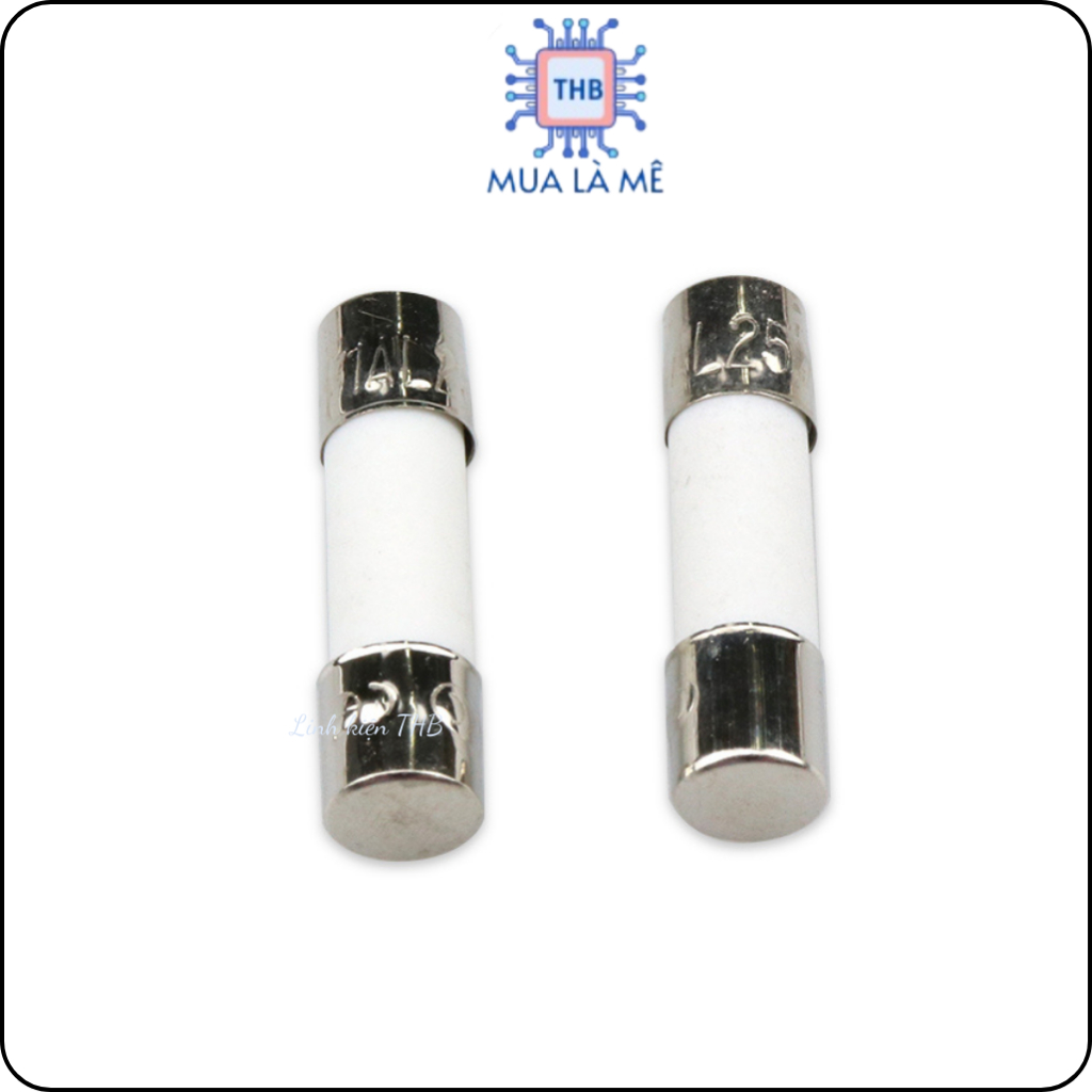 Cầu chì sứ 10A 250V 6x30mm.