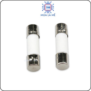 Cầu chì sứ 10A 250V 6x30mm. (túi 5 con)