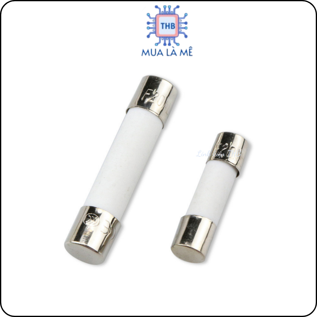 Cầu chì sứ 10A 250V 6x30mm.