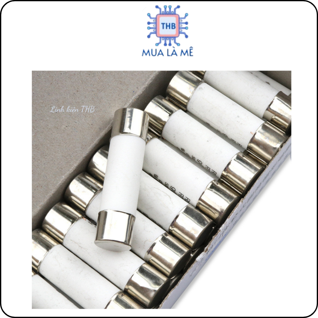 Cầu chì sứ 10A 250V 6x30mm.