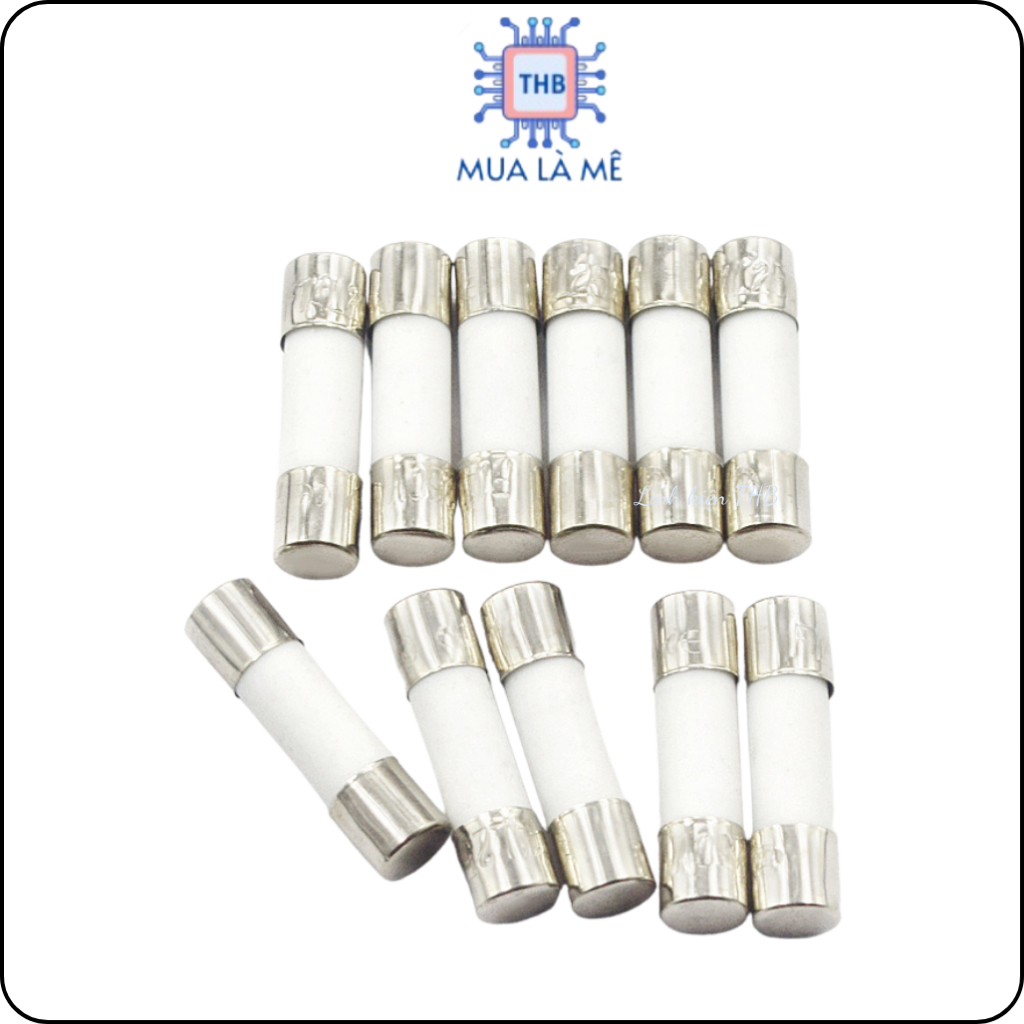 Cầu chì sứ 10A 250V 6x30mm.