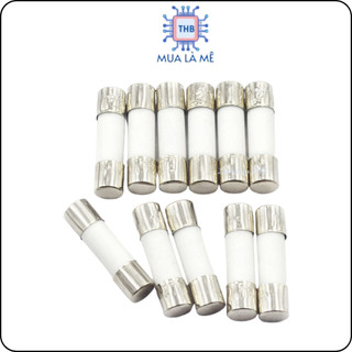 Cầu chì sứ 10A 250V 6x30mm. (túi 5 con)