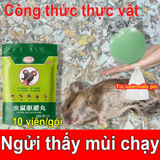👽Gián Chuột Khắc Tinh👽Thuốc đuổi chuột đuổi chuột vĩnh viễn thuốc chuột 10 viên Xua đuổi chuột đi 24 giờ Đứa bé