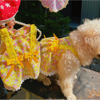 Đầm thiết kế hoa nhí cho chó mèo siêu xinh, đầm váy thiết kế hoa nhí cho chó mèo