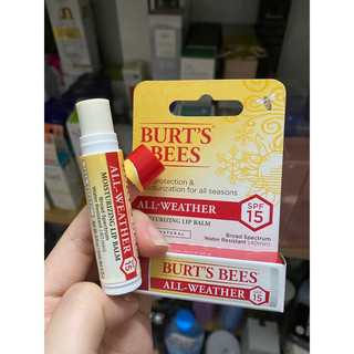 🔥 son dưỡng môi sáp ong 100% thiên nhiên burt's bees #honey 4.25g 🔥 mỹ