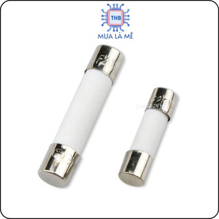 Cầu chì sứ 0.63A 5x20mm 250V (túi 5 con)