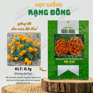 Hạt giống Hoa Cúc Vạn Thọ Pháp Ban Mai Rd 835 (0,1g~80 hạt) thân cao 30-35cm, thích hợp trồng chậu - Hạt giống Rạng Đông
