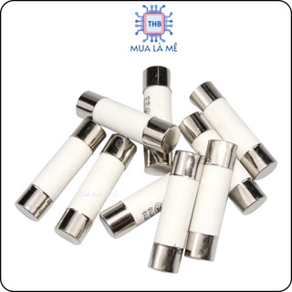 Cầu chì sứ 2.5A 5x20mm 250V (túi 5 con)