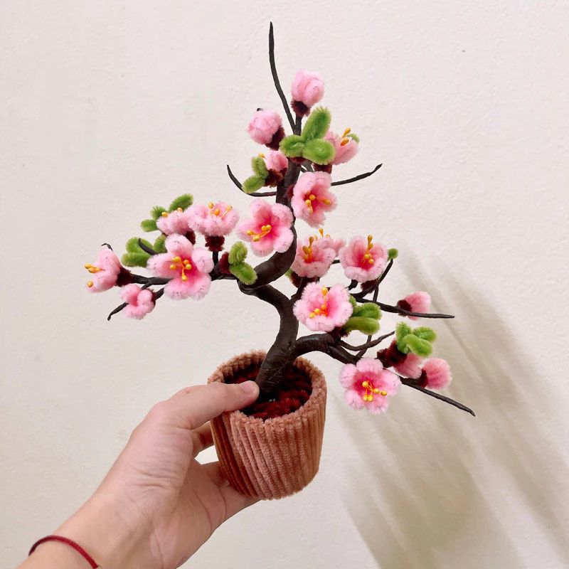 Chậu hoa đào mini để bàn
