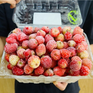 VG FARM Dâu Sachi Nhật Size Bi Cấp Đông