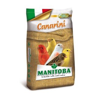 Hạt trộn tổng hợp cho yến hót Manitoba túi 1kg date mới nhất