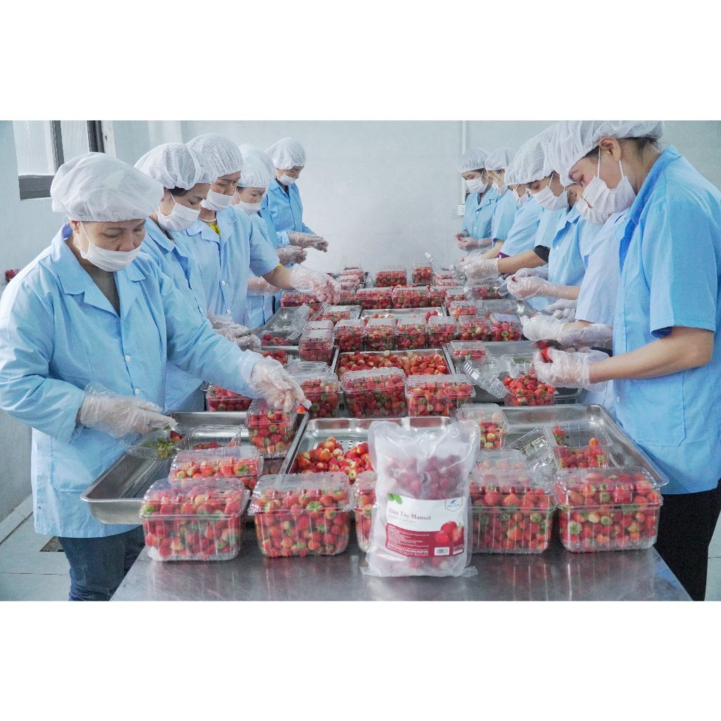 Dâu tây Mamut Gói 100g, 900g (10 cốt) trái cây cấp đông [HN giao hỏa tốc] - Ảnh 3