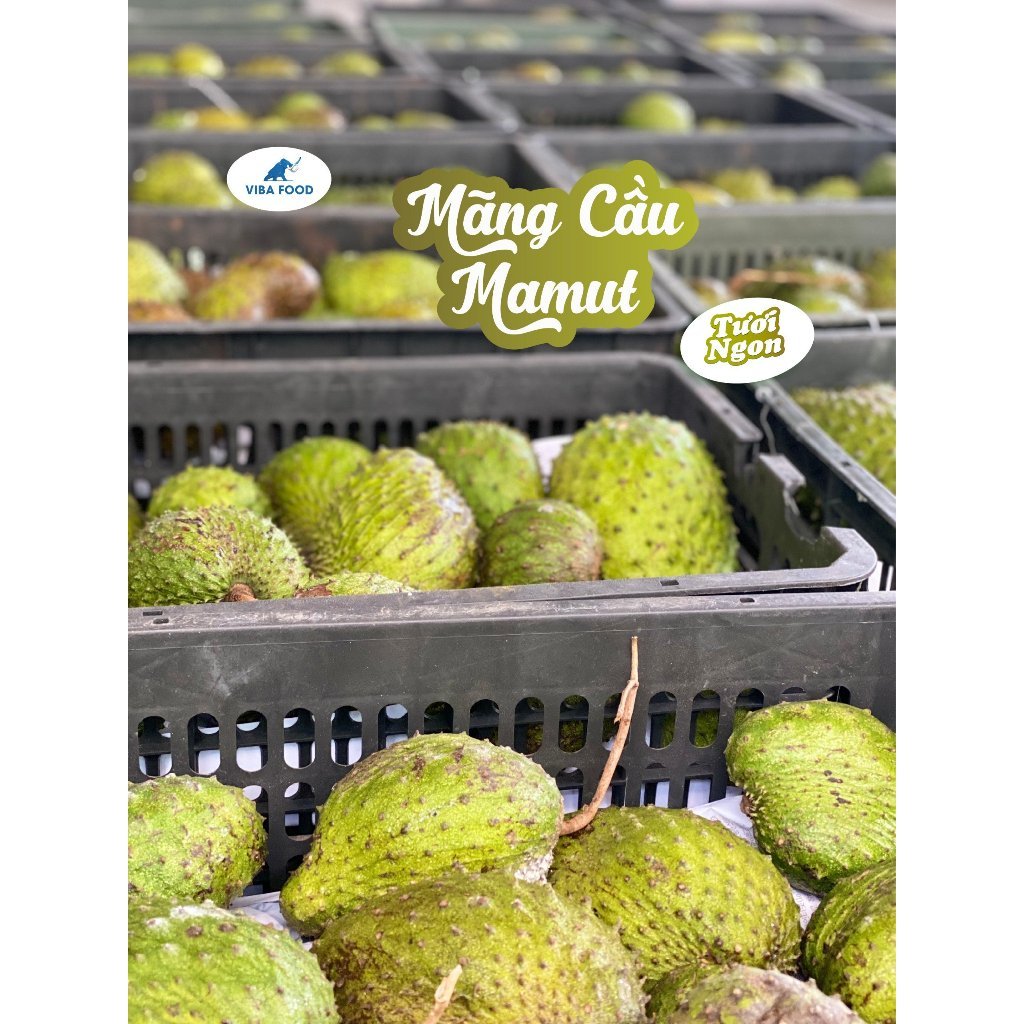 Mãng cầu Mamut cấp đông (Gói 1kg/10 cốt) [HN giao Hoả tốc] - Ảnh 3