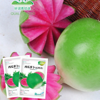 Hạt giống củ cải ruột dưa nk - gói 500 hạt - tỷ lệ nảy mầm 90%