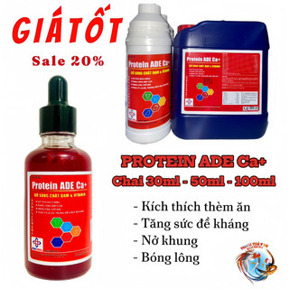 Protein ade - nuôi gà tơ, nở khung, lên cân, bóng lông