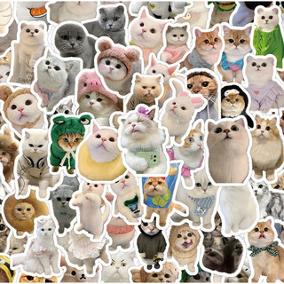 Quà tặng hình dán meme sticker mèo cute vui nhộn hài hước