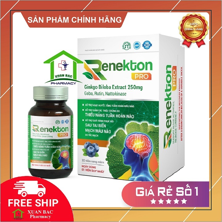 ✅[CHÍNH HÃNG] Hoạt huyết thông mạch Renekton tăng cường trí nhớ lưu thông máu tuần hoàn não ginkgo biloba q10