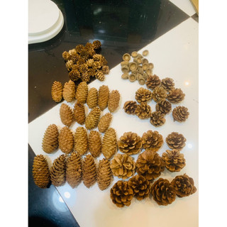 Quả thông mài răng,trang trí lồng Hamster