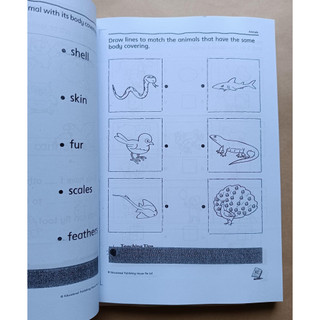 Sách - My K2 Jumbo Book