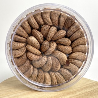 Hạt điều HỘP TRÒN XẾP HOA rang muối  HŨ PET hàng A Cồ, to đều, nguyên hạt - Hạt dinh dưỡng/ ăn vặt/ làm quà tết