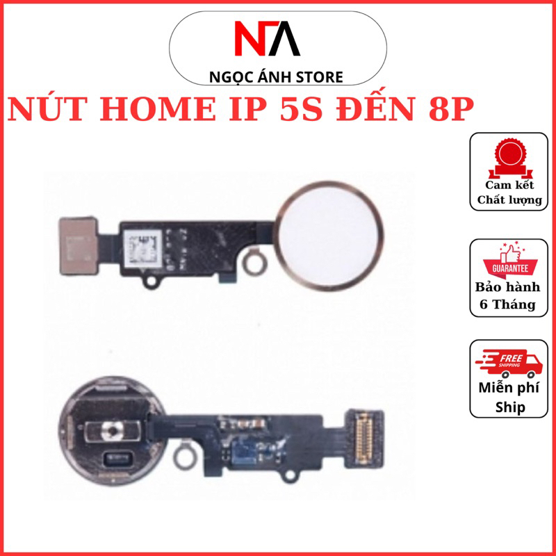 Nút Home Phím Home Cho 5s/ 6/ 6 Plus/ 6s/ 6s Plus/ 7/ 7 plus/ 8/ 8 Pl Mới